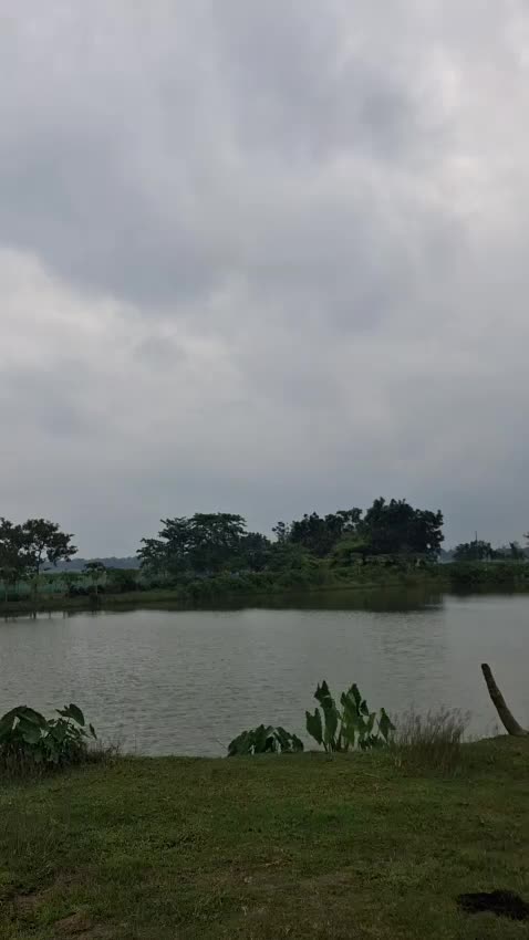 @Mahbub Talukder Oppo