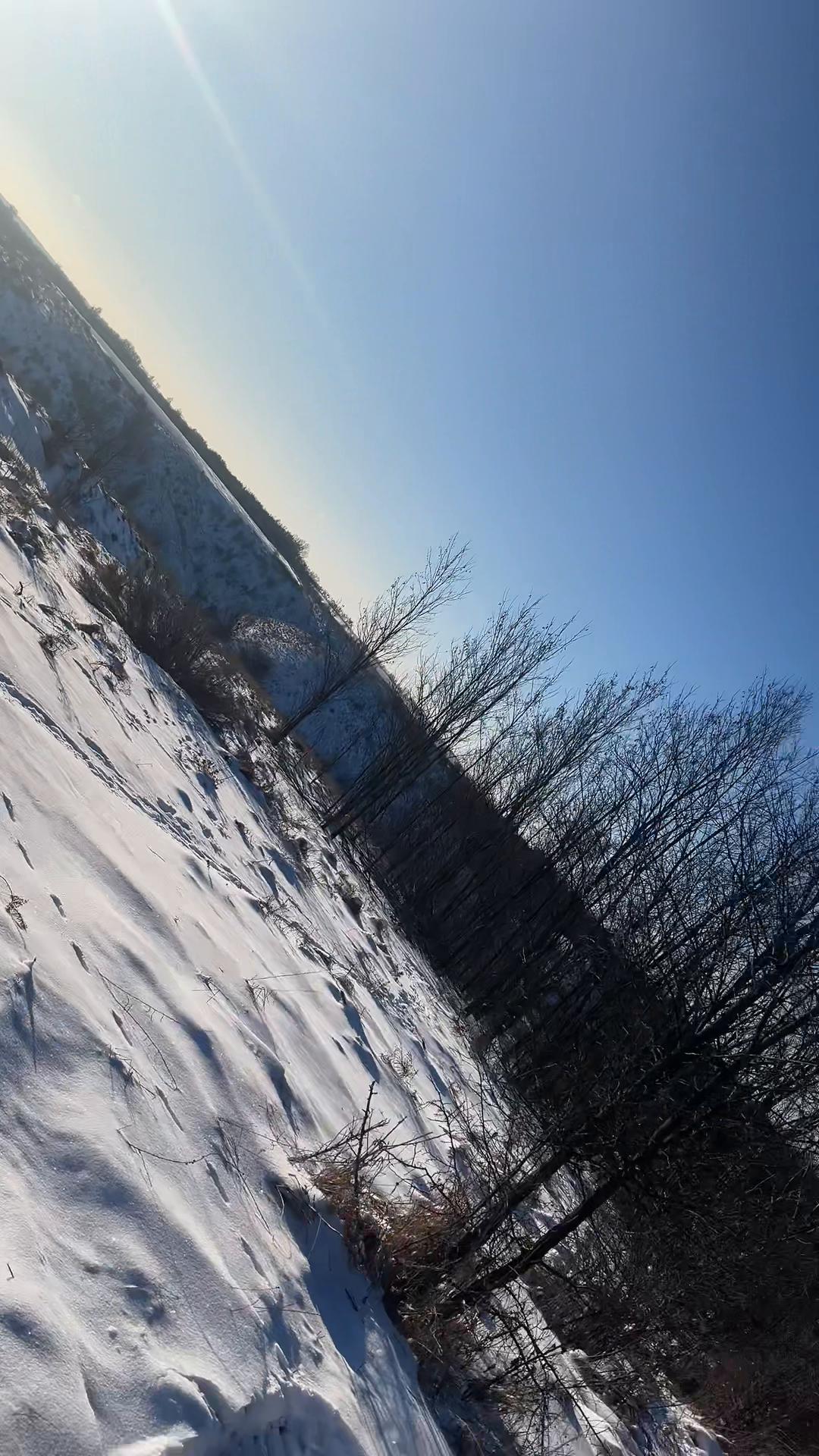 @Coyote 🇺🇦 🇺🇦