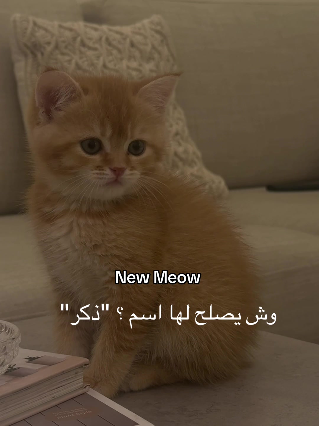@HbdHbd