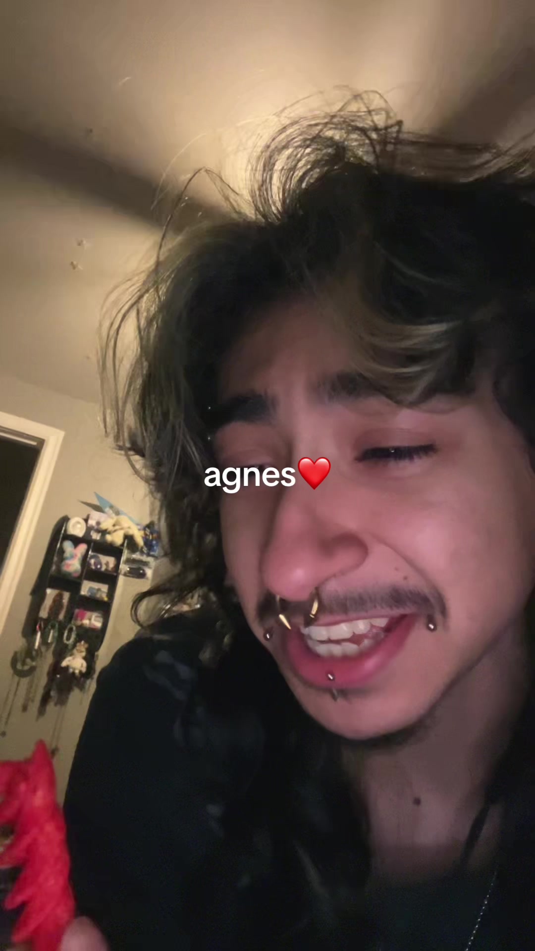 @anselll