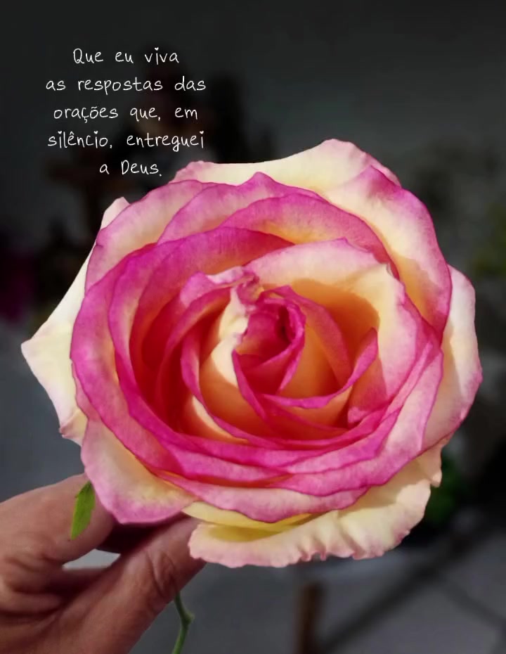 @Giovana Duarte✨
