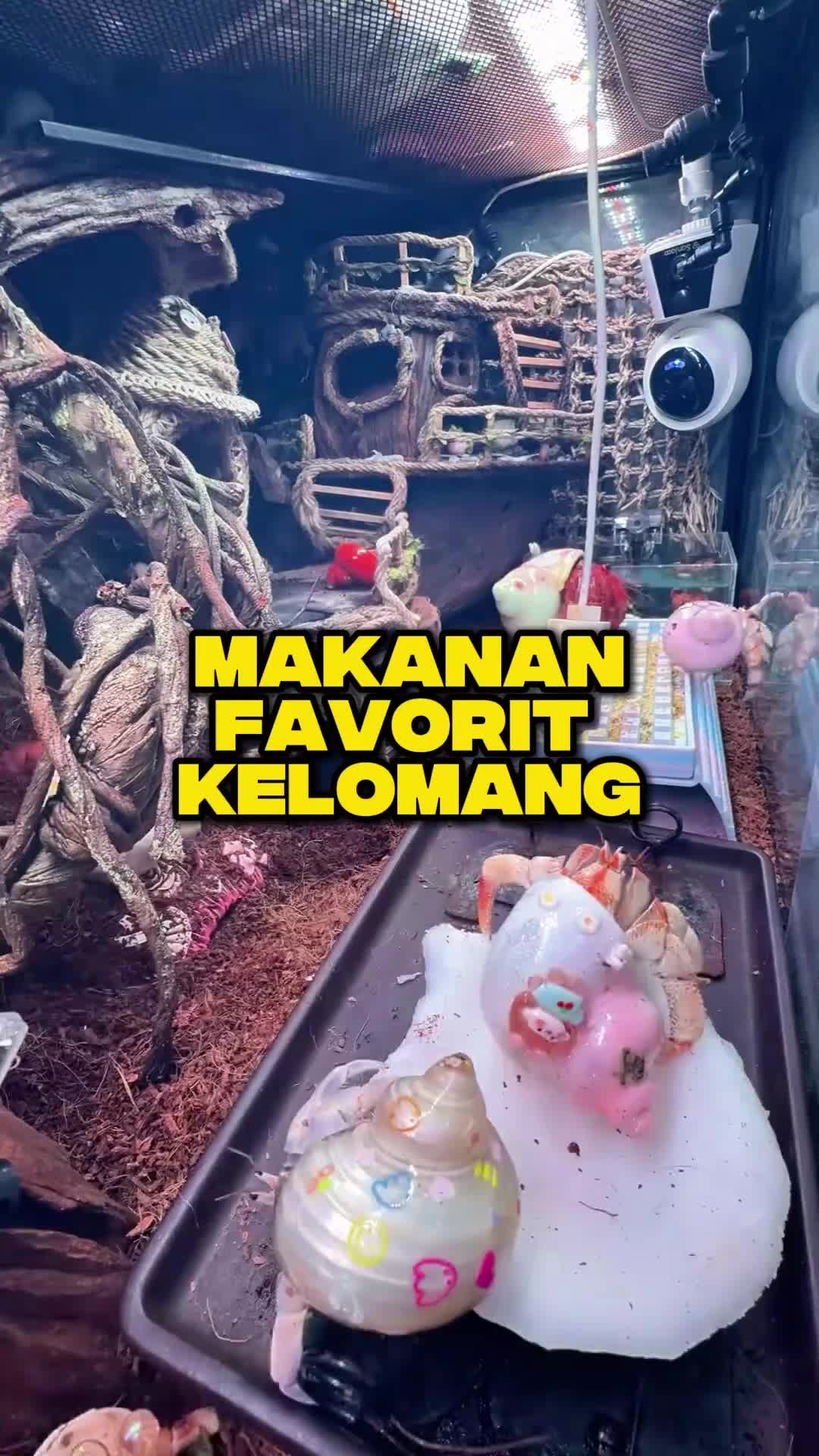@Ardian Galih 🐜