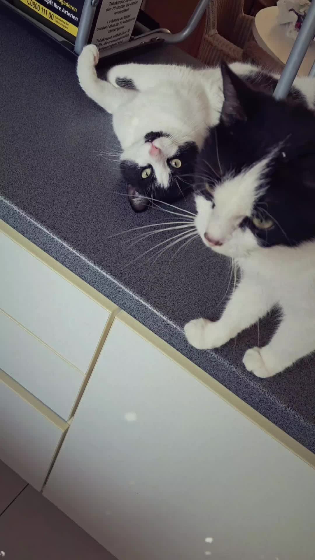 @Kianatje❤️❤️