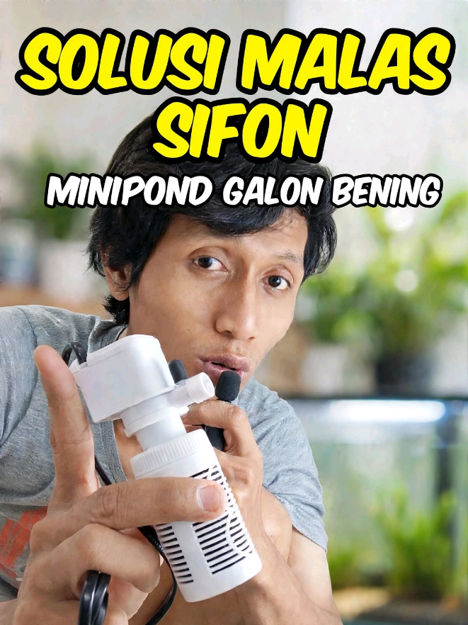 @Minipond Galon