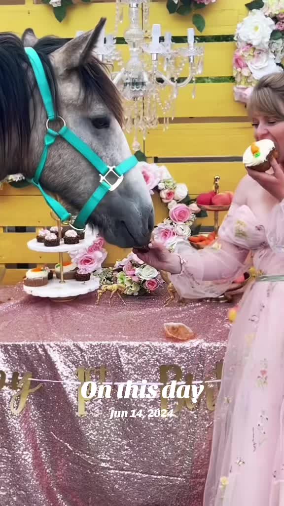 @Free Spirit Equestrian