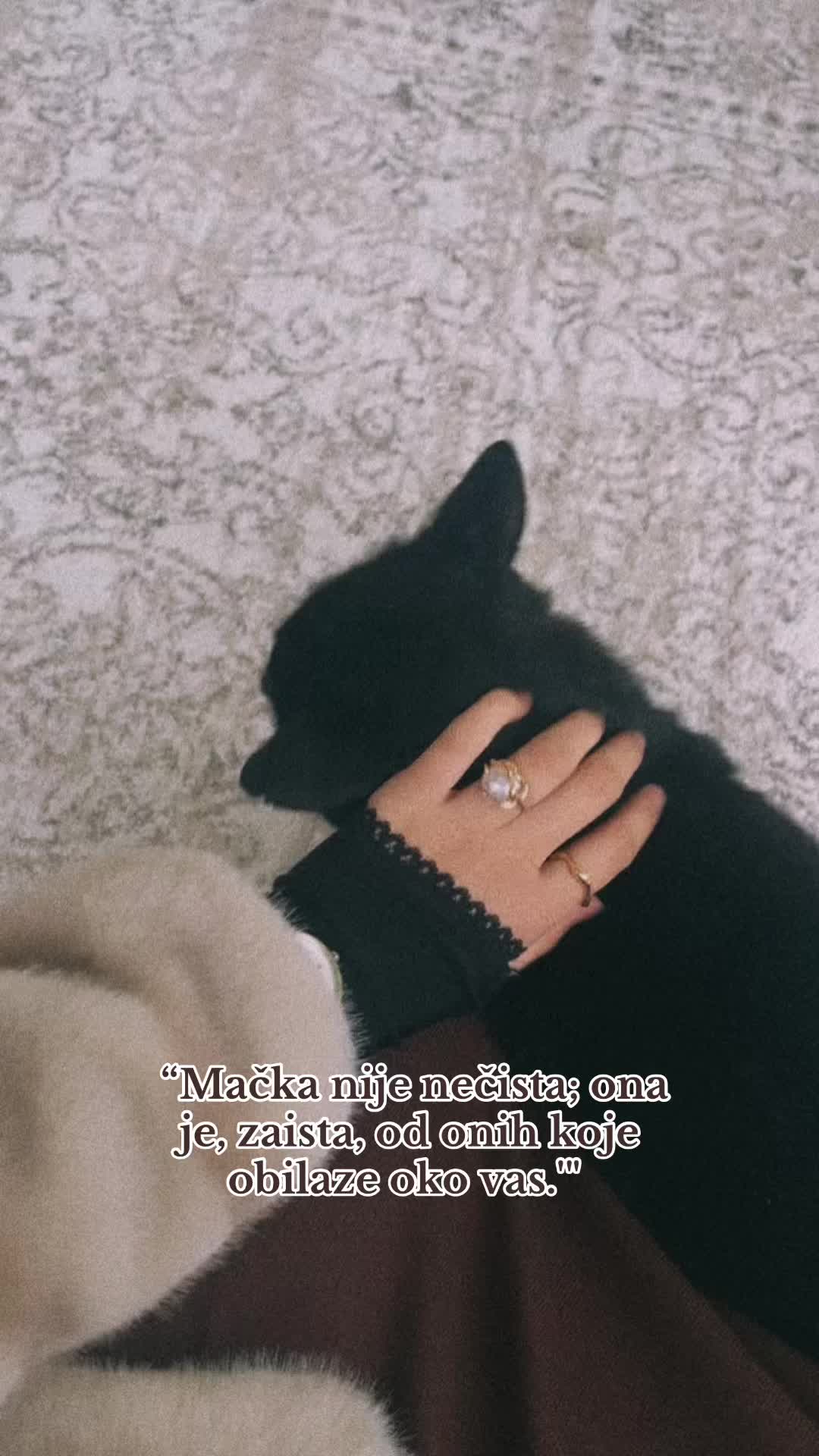 @mikica
