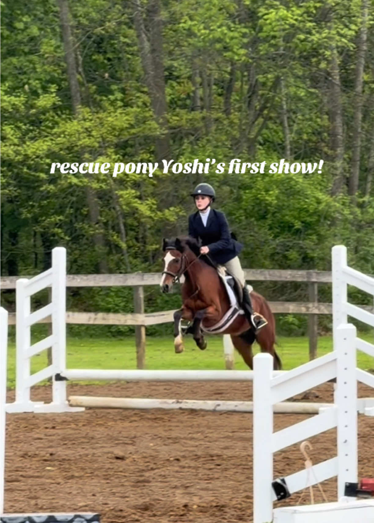 @Lunar Hill Equestrian