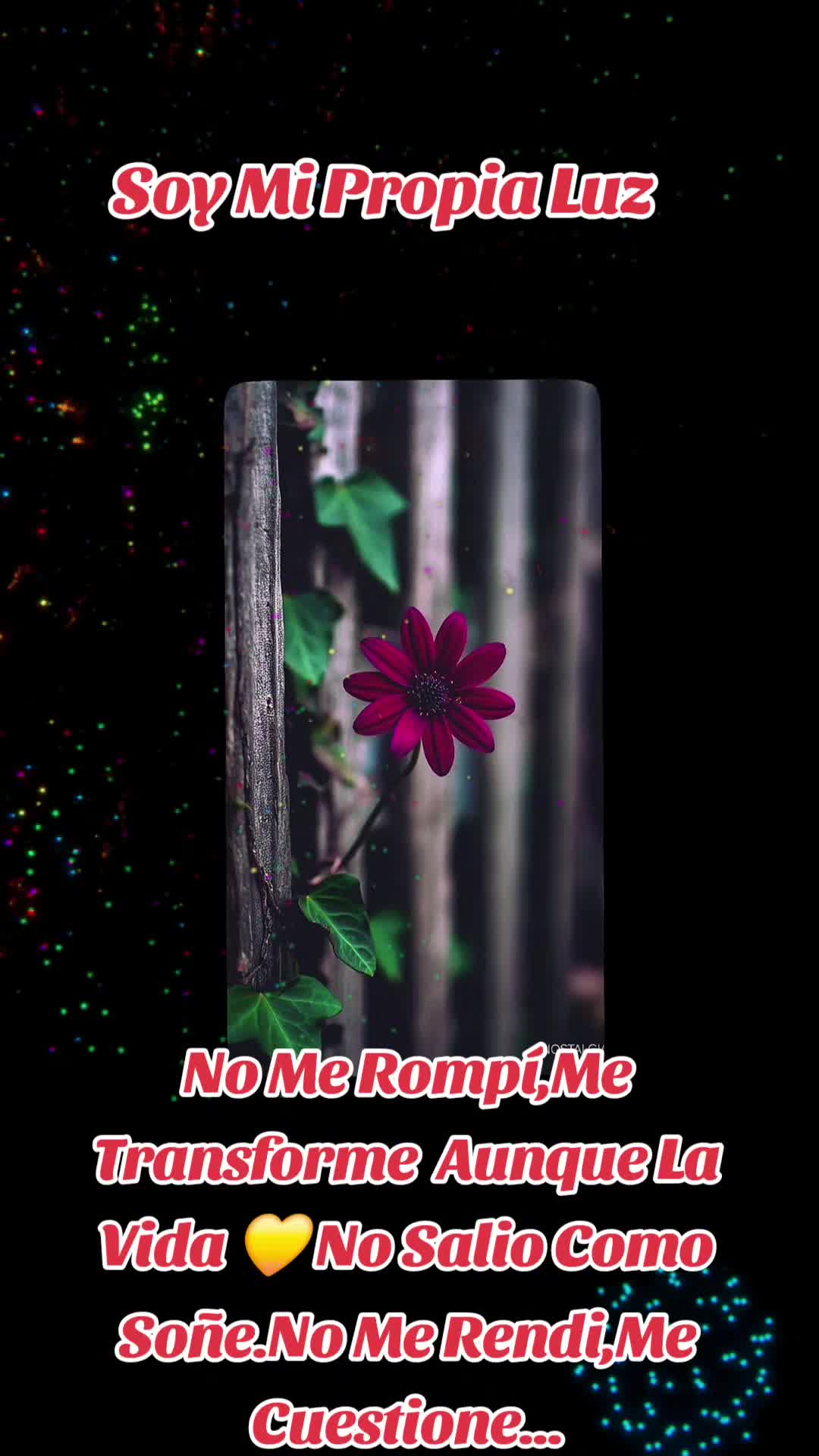@Zulema888liliana777