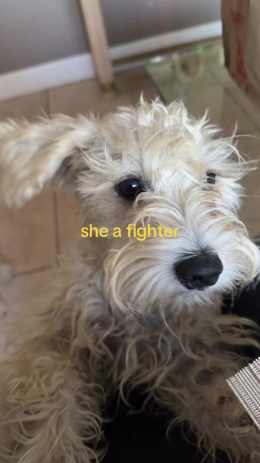 @🤠