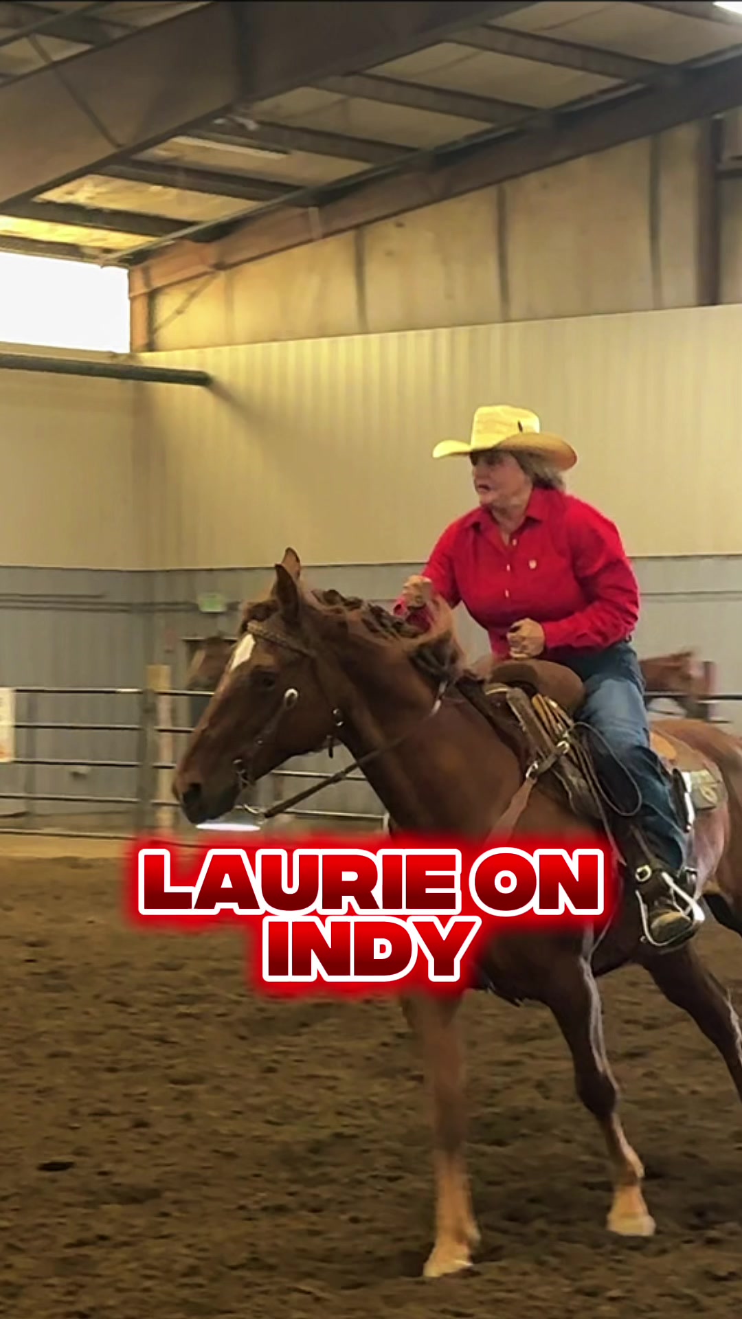 @Supercharge Performance Horses