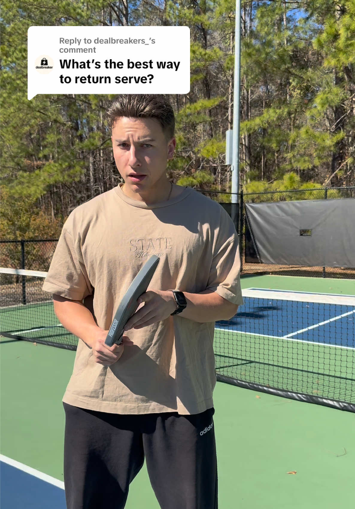 @Professor Pickleball