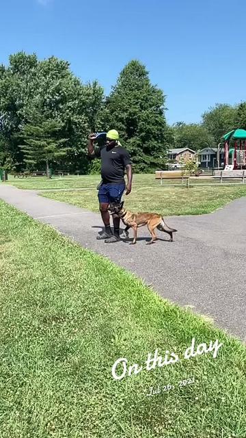 @DJ | Dog Trainer