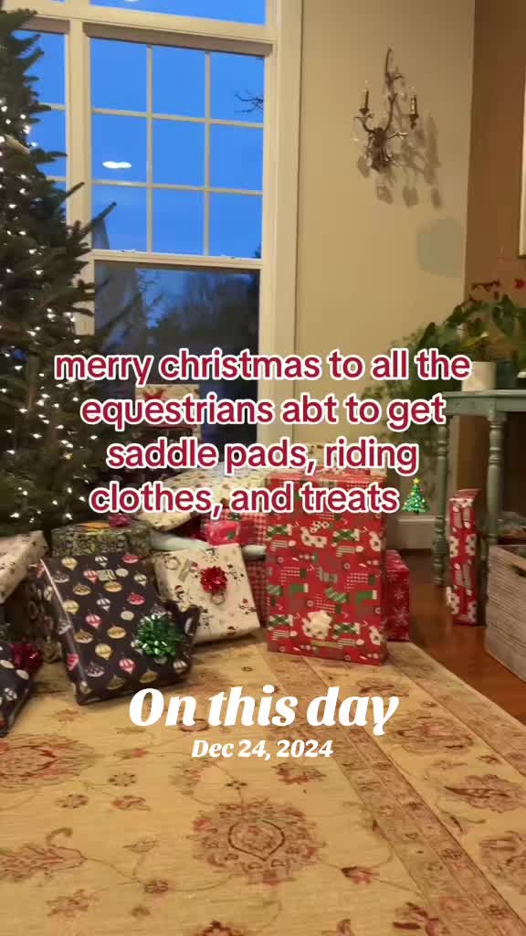 @caitlin folliard🤎🐴