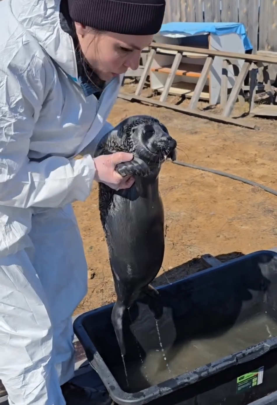 @Mari Ohara 🦭and Rina Tennoji