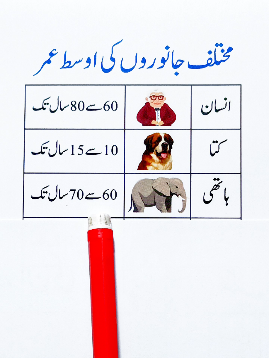 @SADIAS QUIZ