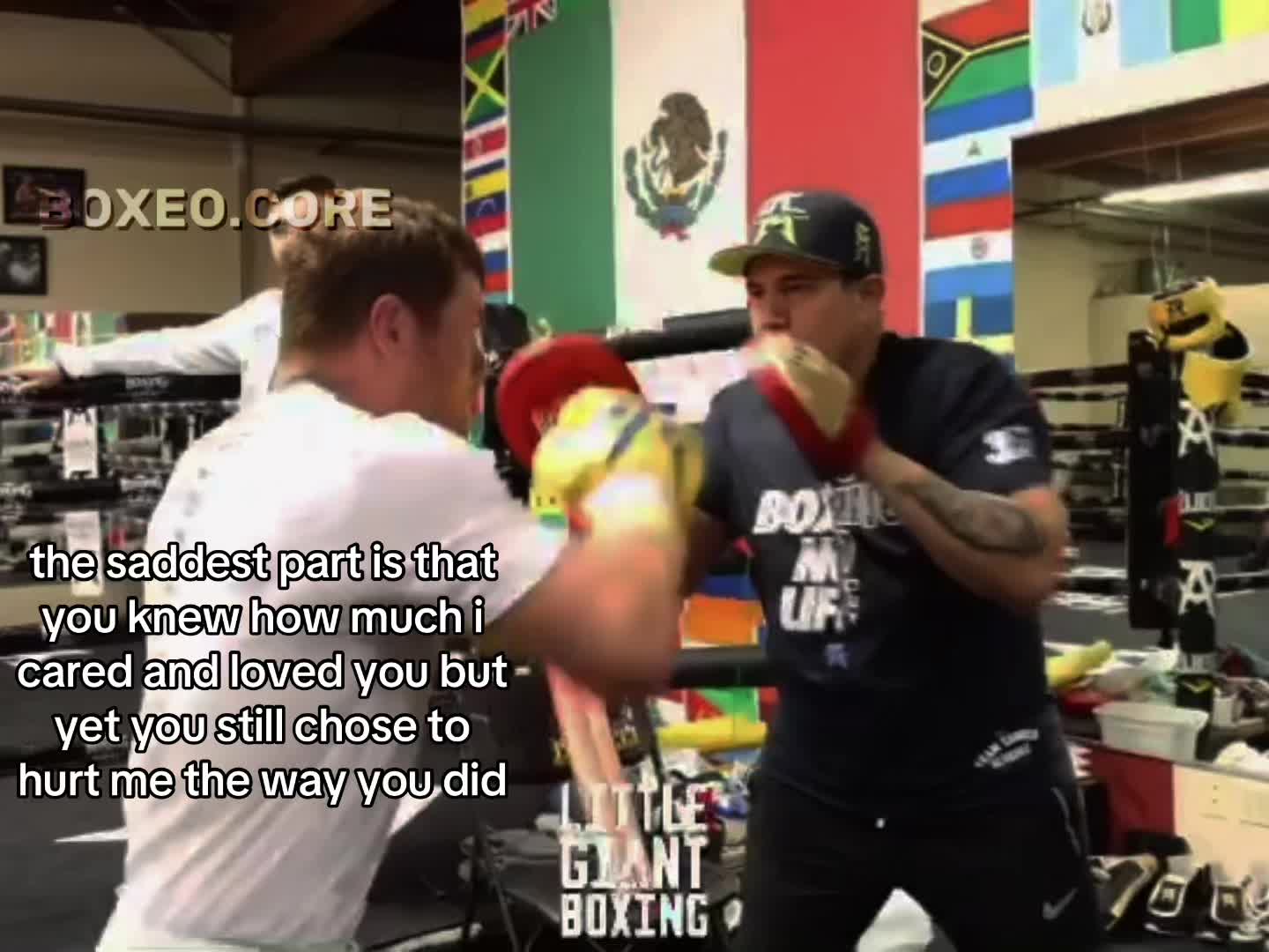 @boxeo.core