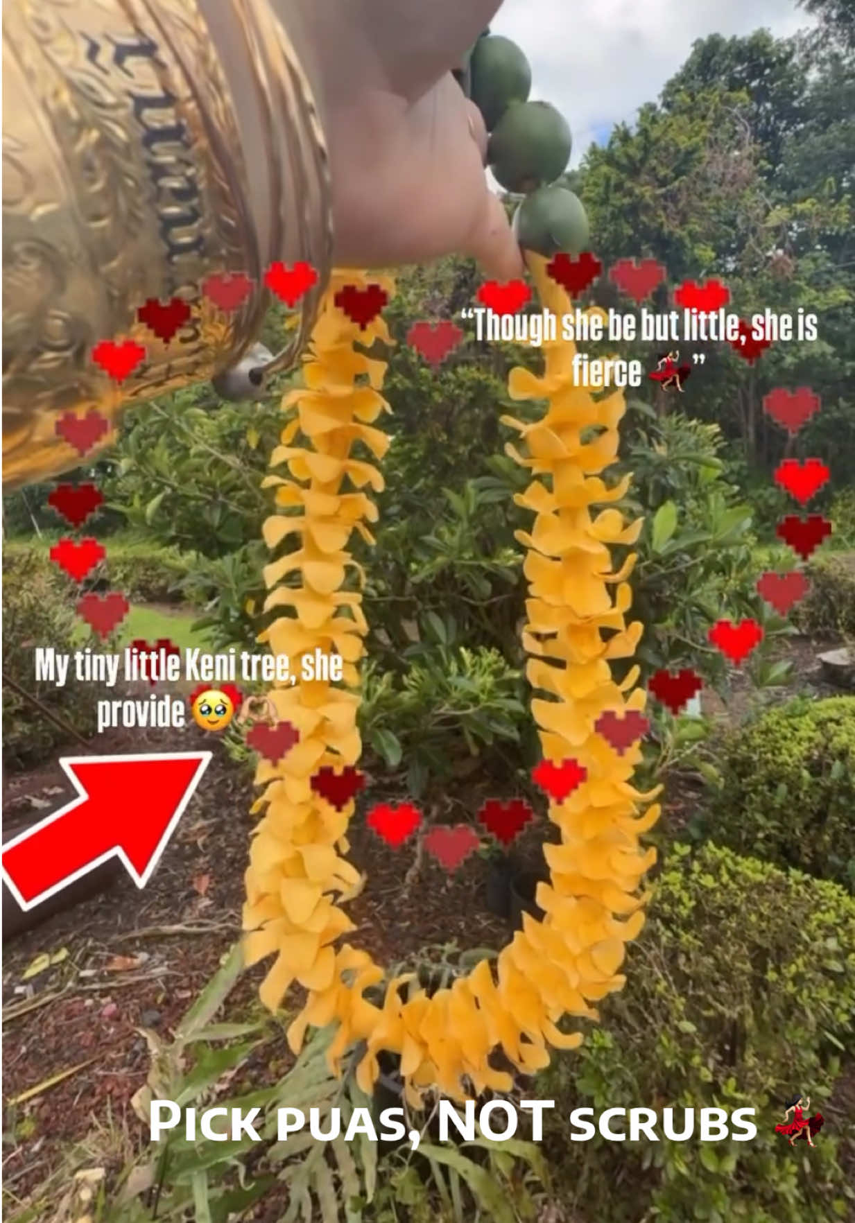 @d o n d i