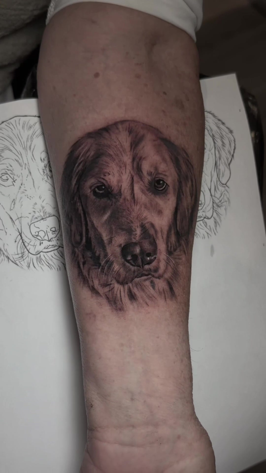 @briansenatattoo