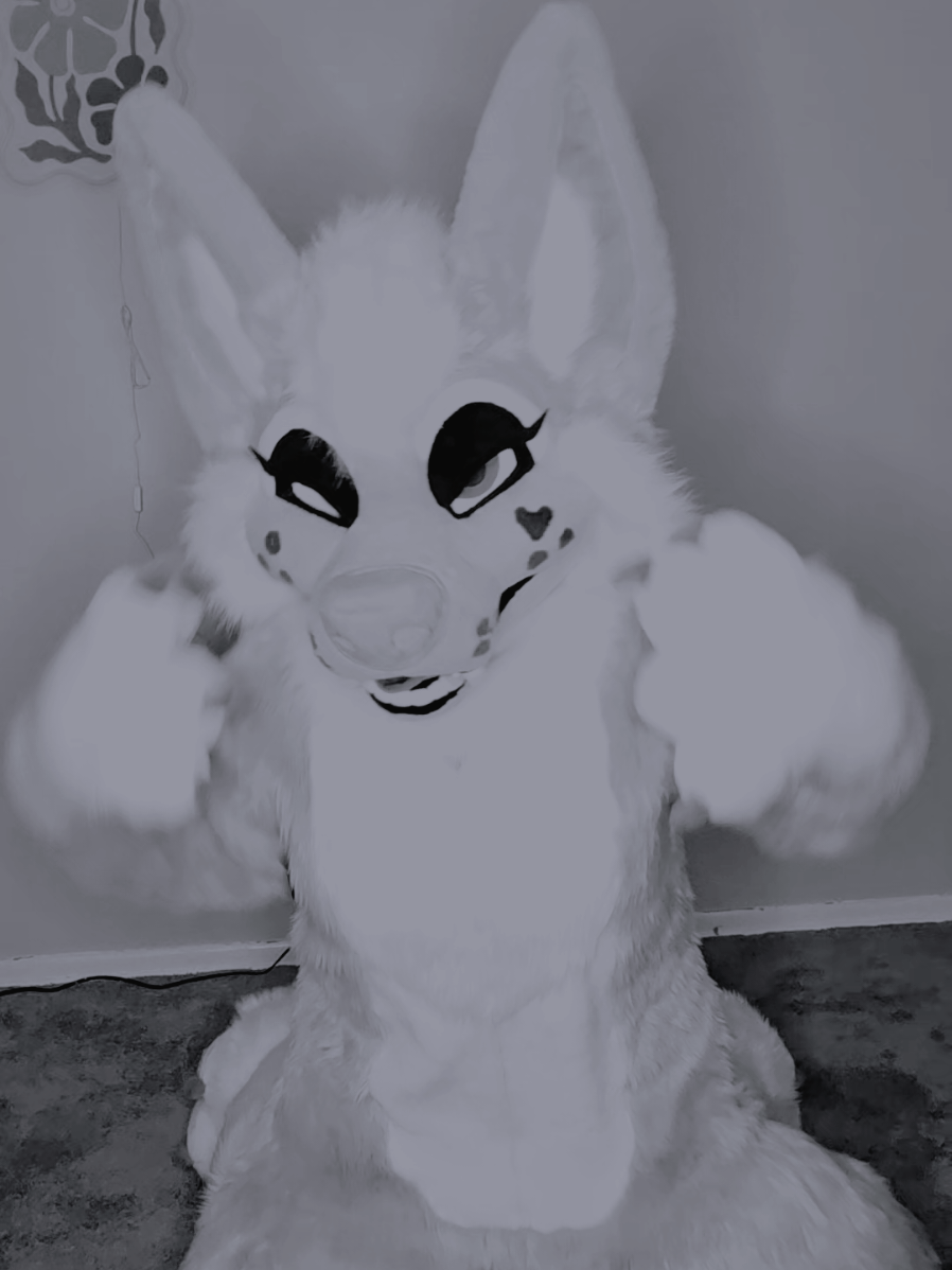 @✨️Skyla Vixen✨️