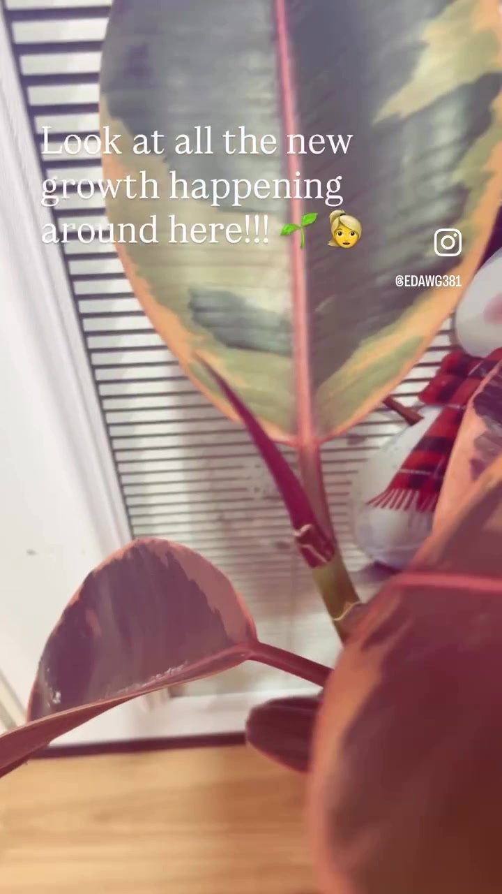 @erinjenn3