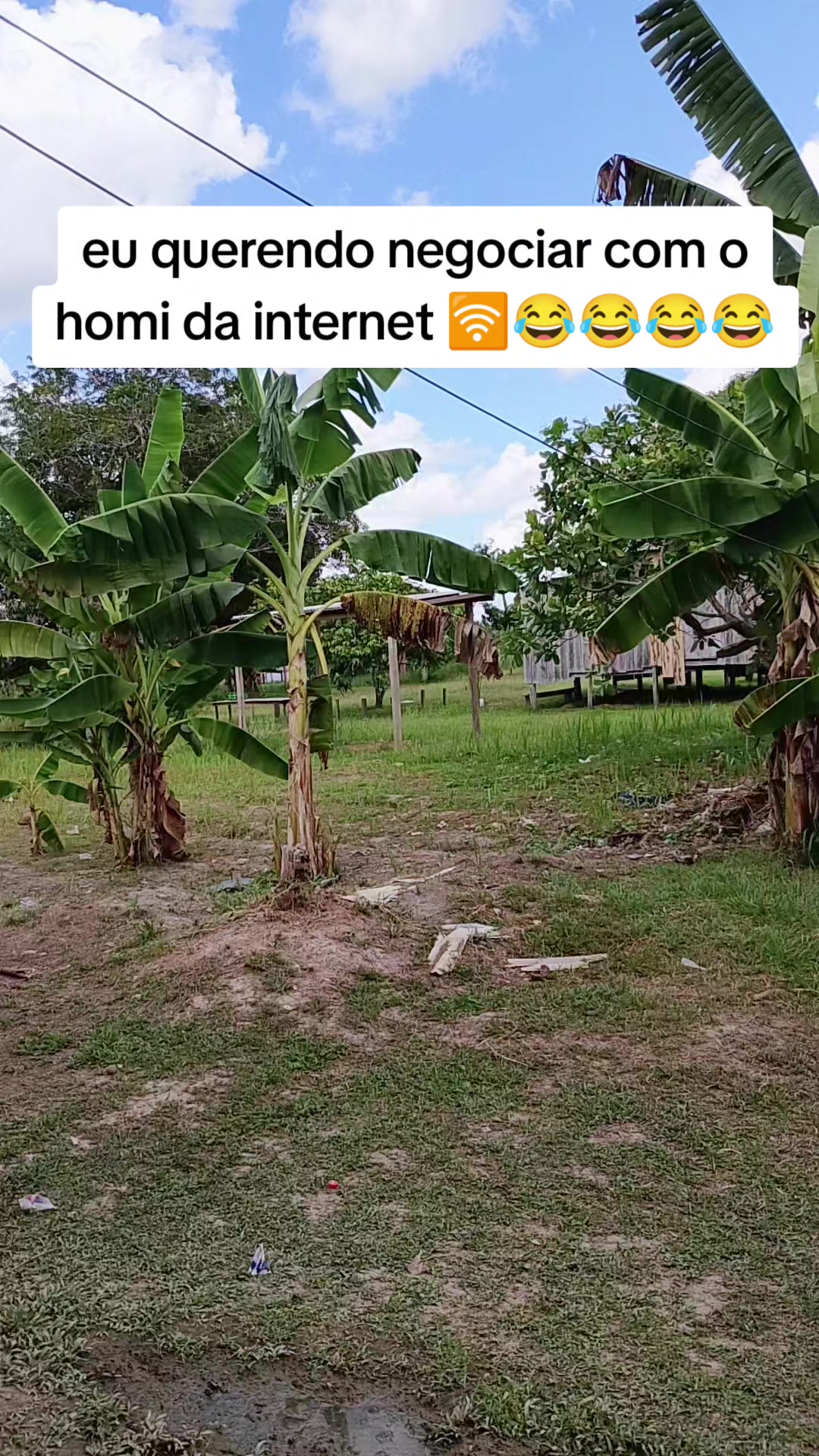 @carol santos