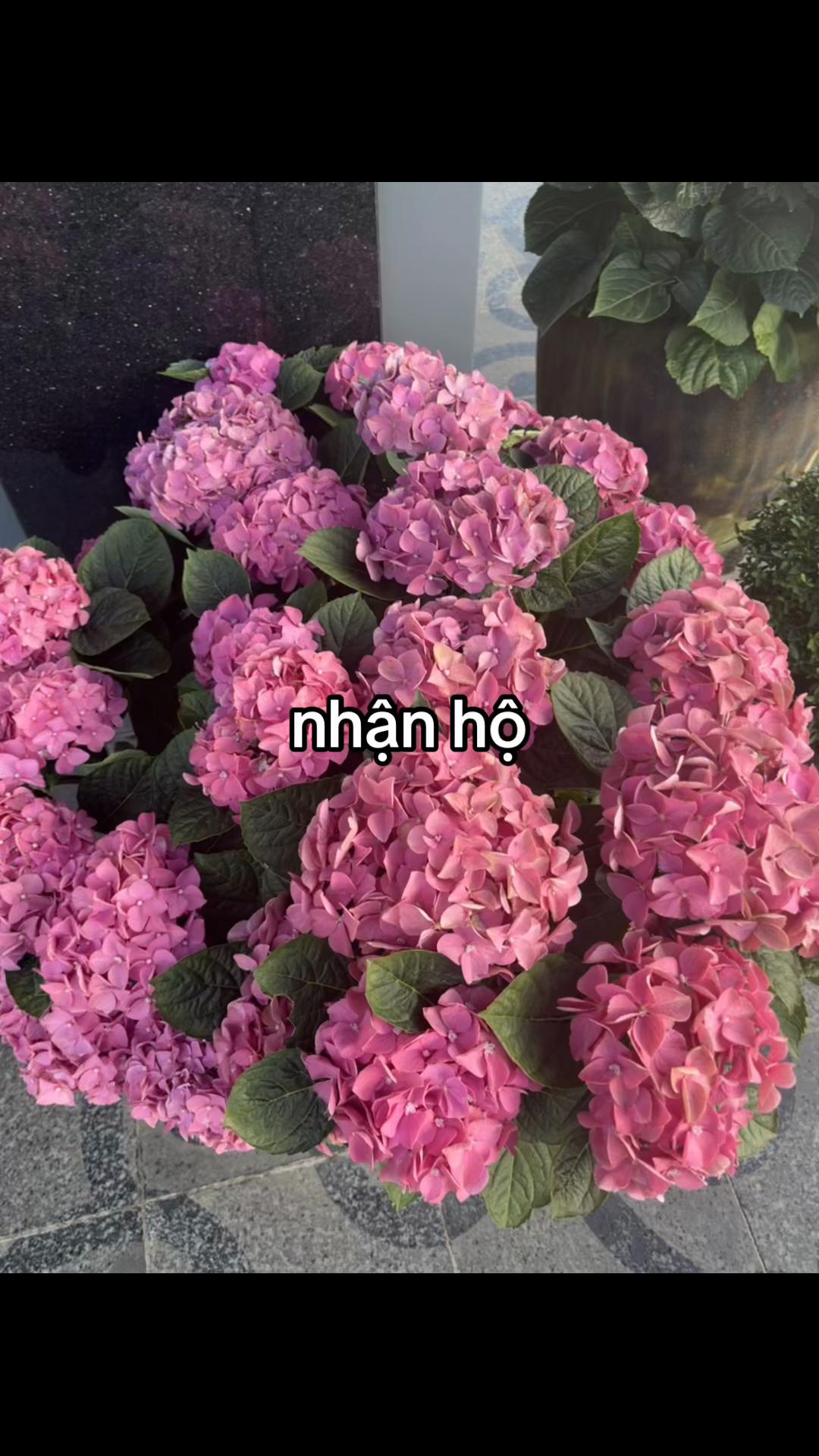 @nhận hộ