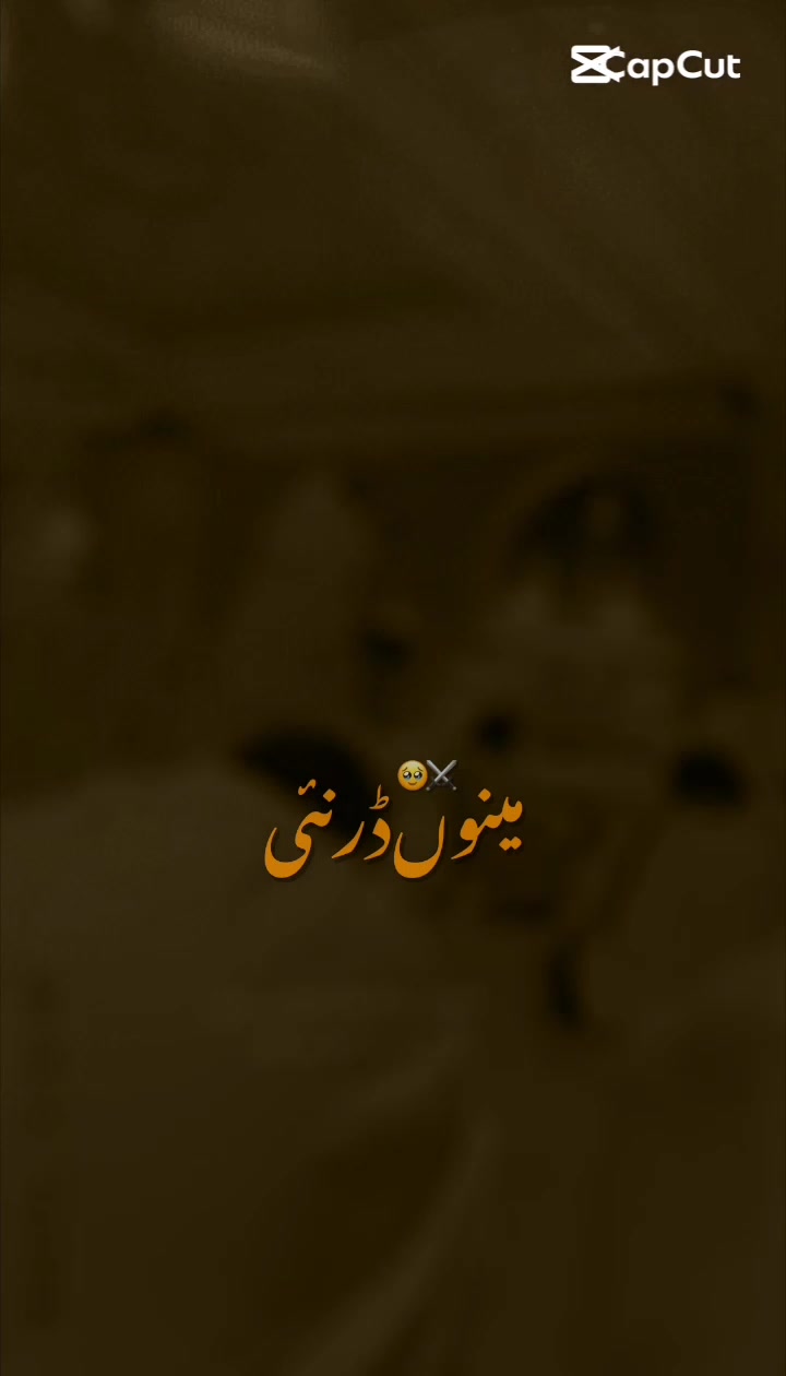 @lmRan Aimmy 🇸🇦🇵🇰🌹