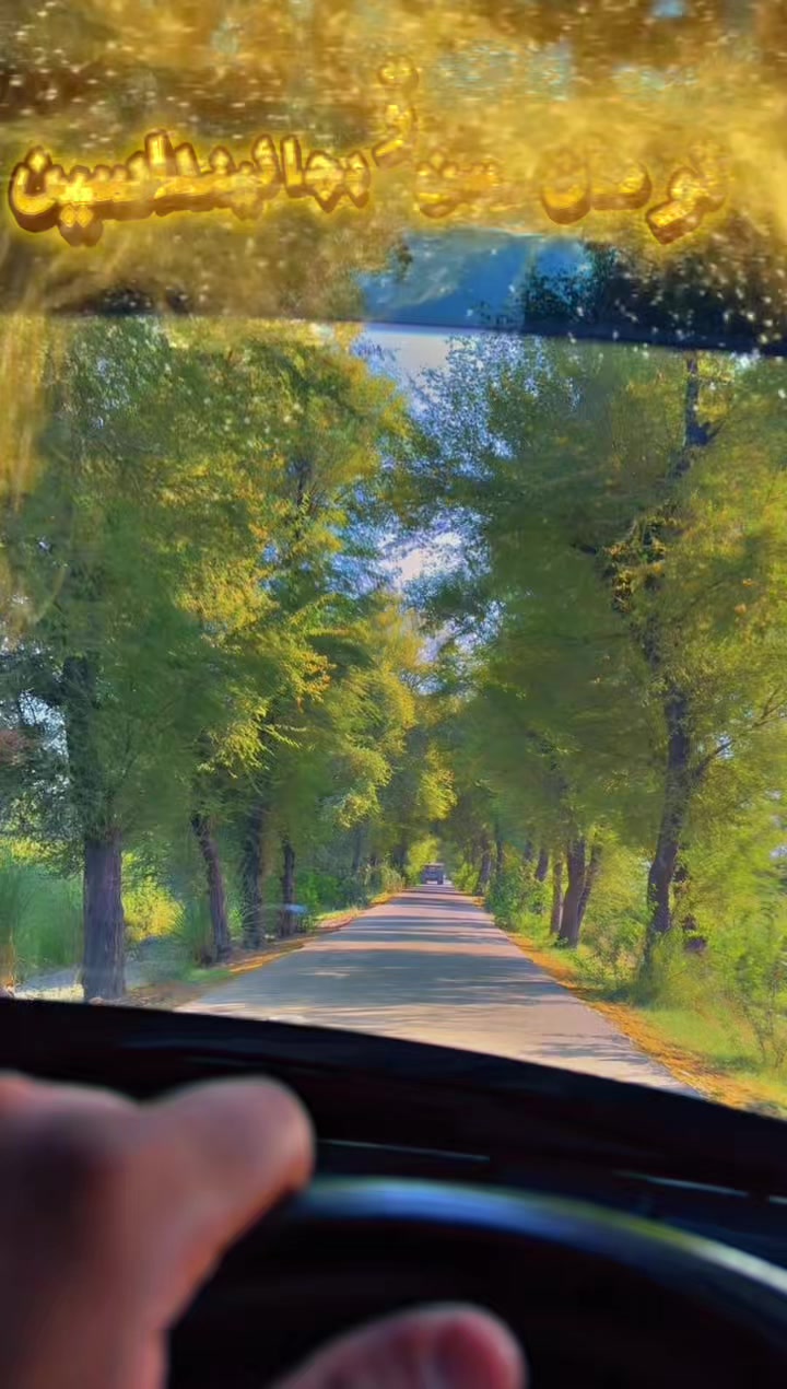 @جمشيد علي