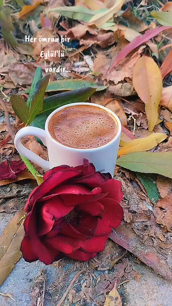 @🖤🌹🕊sbl03🖤🌹🕊