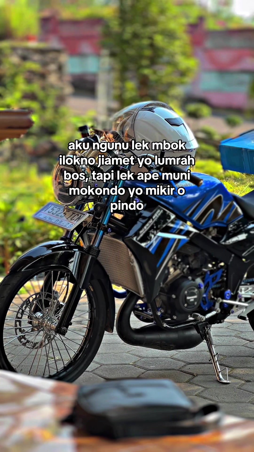 @alif_mdf