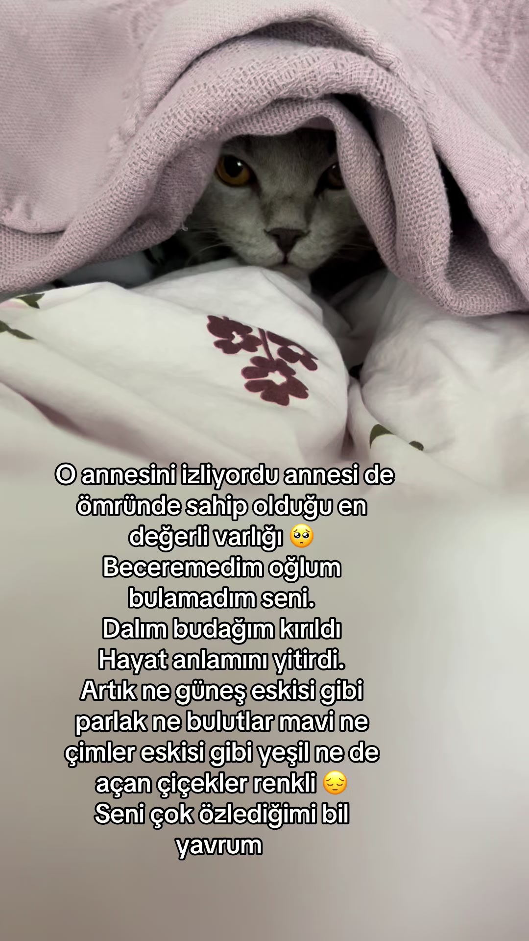 @BULUT KAYIP