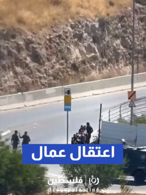 @Royapalestine رؤيا فلسطين