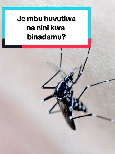 @bbcnewsswahili