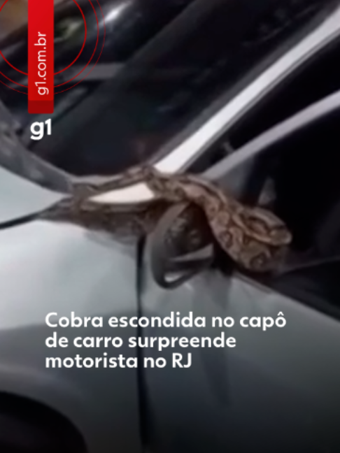 @g1