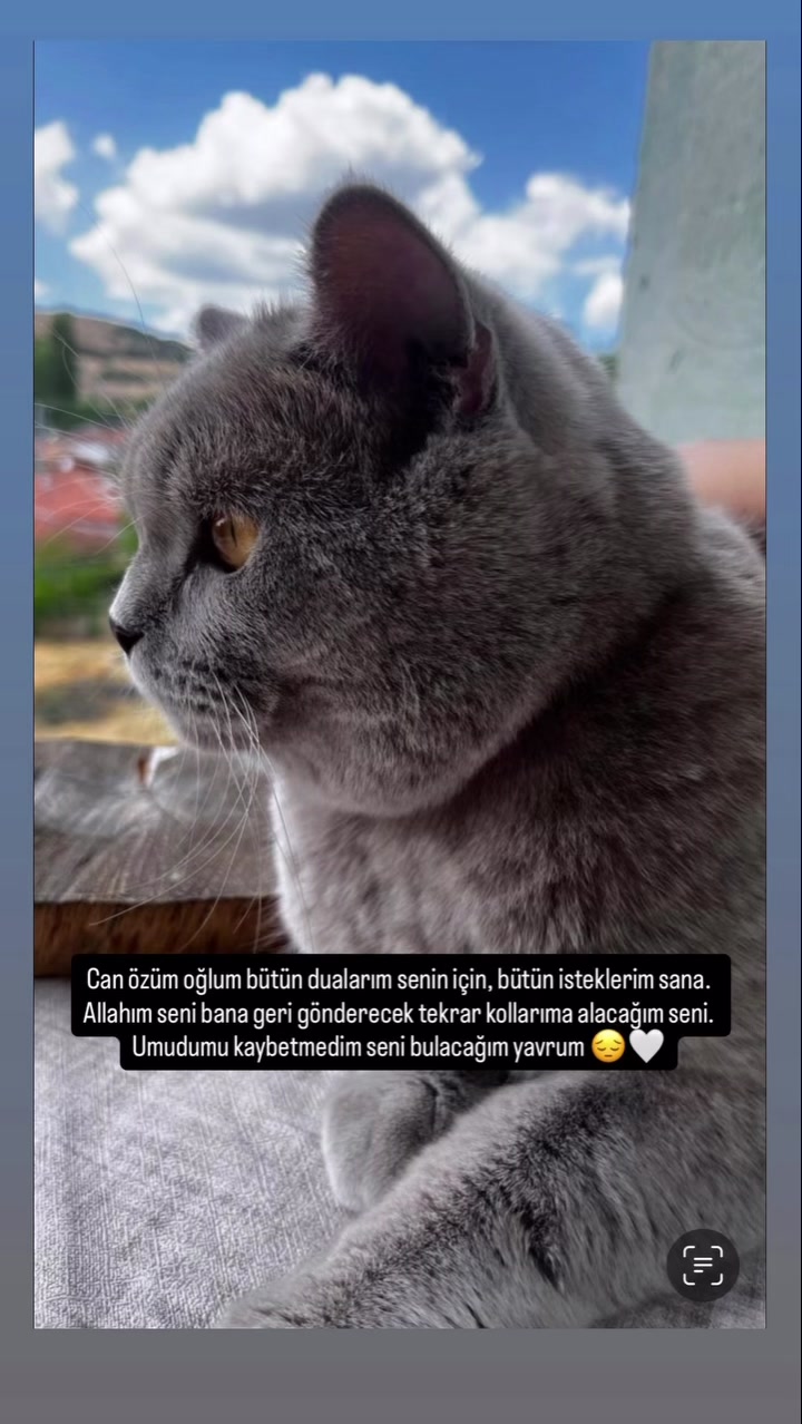 @BULUT KAYIP