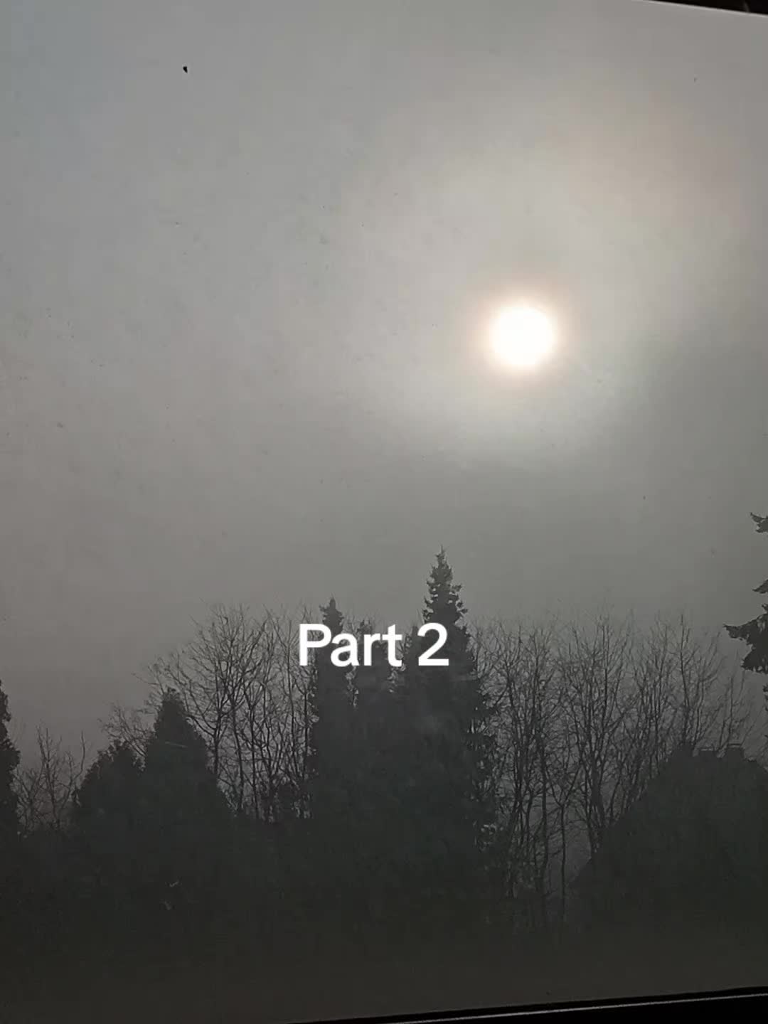 @𝓝𝓸𝓫𝓸𝓭𝔂
