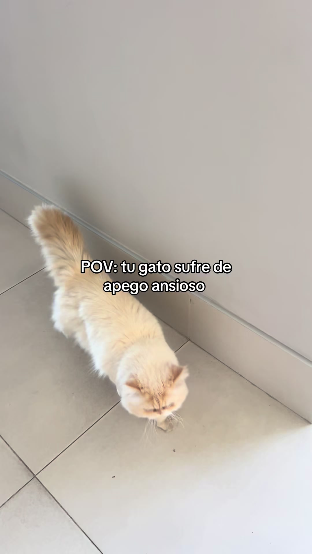 @JAQUIVB