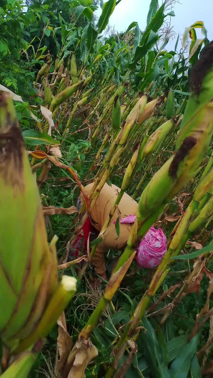 @Karin Khatri Kabi