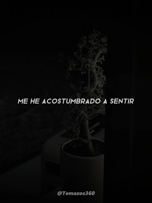 @𝙏𝙚𝙢𝙖𝙯𝙤𝙨 𝟯𝟲𝟬