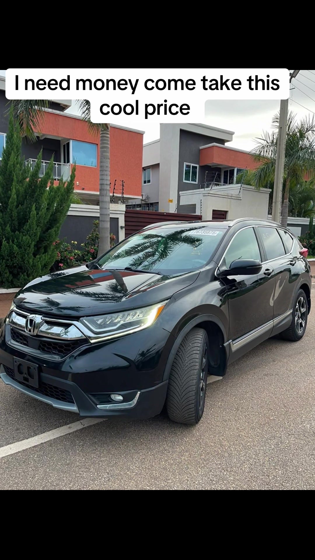 @Emma Honda