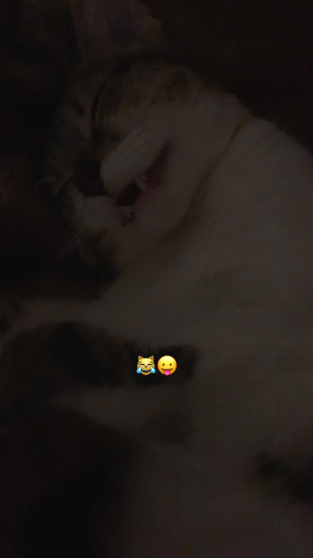 @๐๐1๐๐๐๐๐๐๐๐