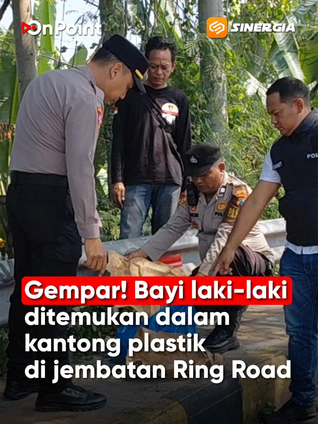 @SINERGIA MEDIATAMA