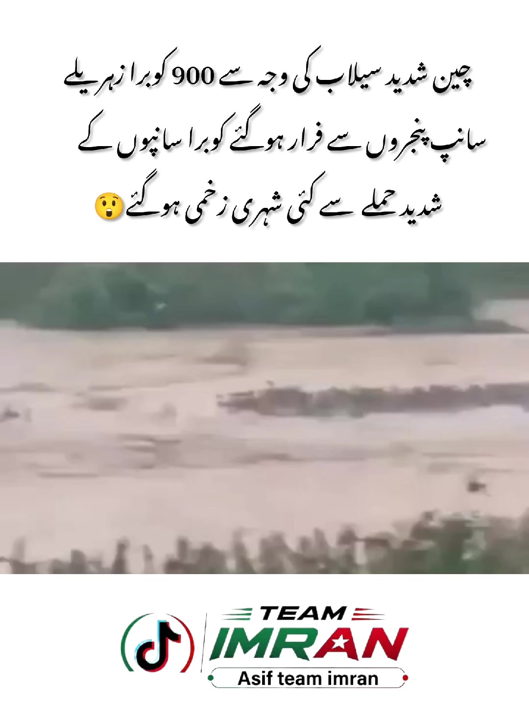 @Asif Team Imran
