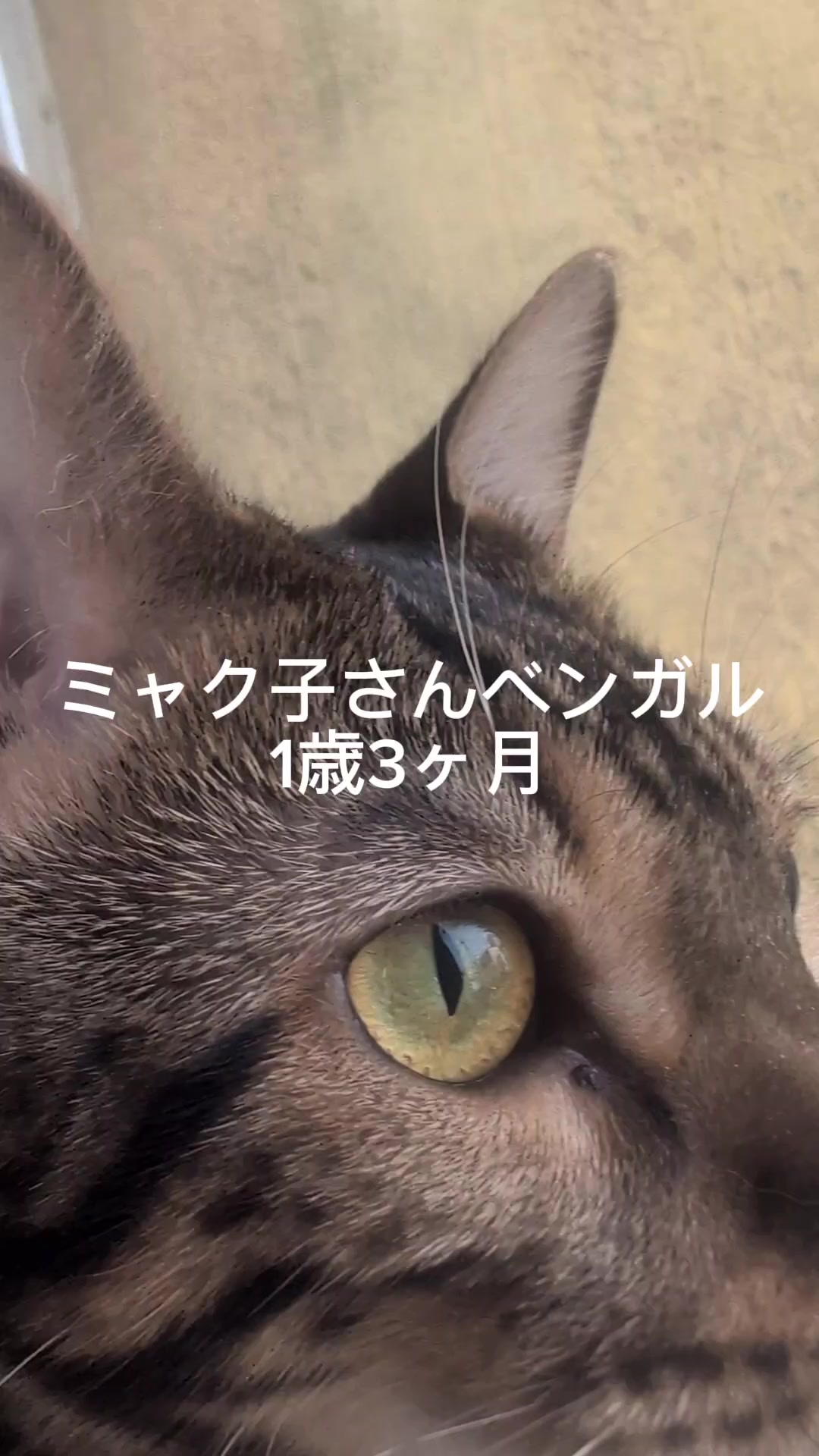 @睡眠プロデュース