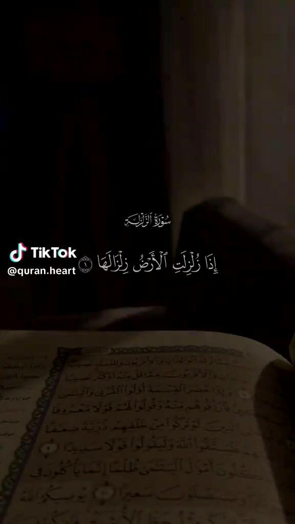 @نوكتك ستريم سنايب