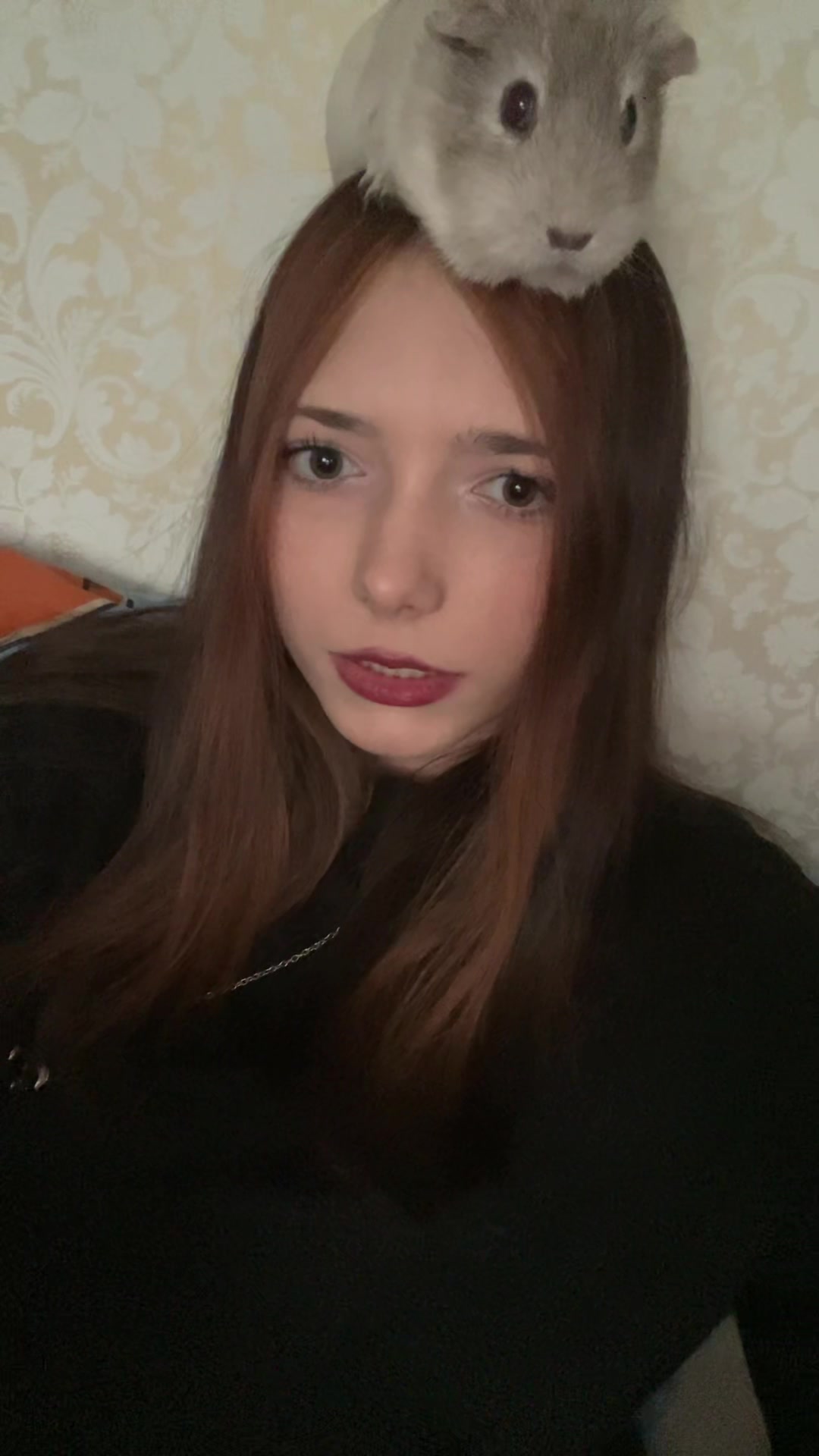 @wesapps61