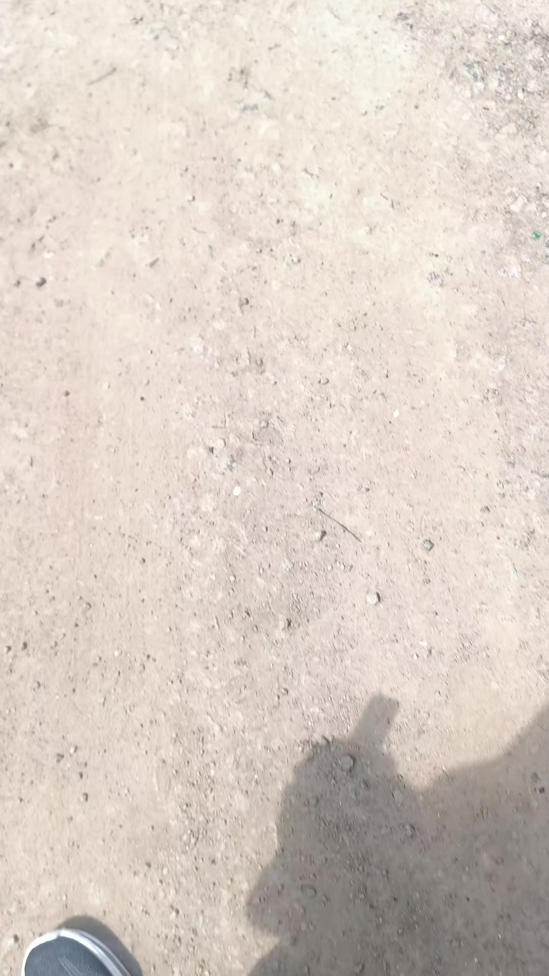 @Саня🇺🇦🇺🇦🇺🇦