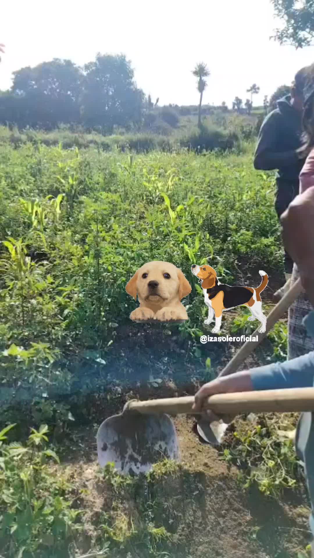 @Martín1982