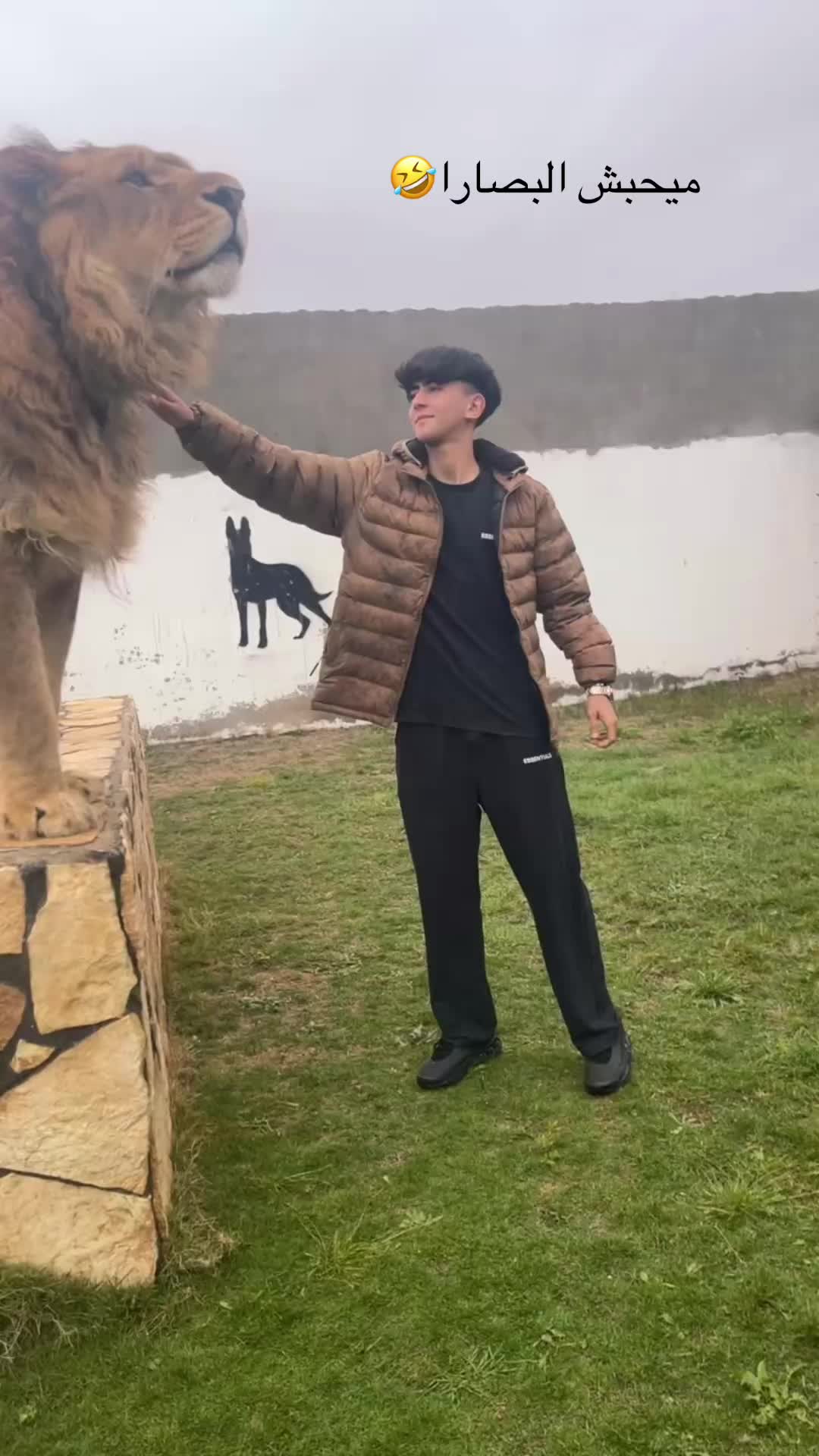 @معاد 🇱🇾