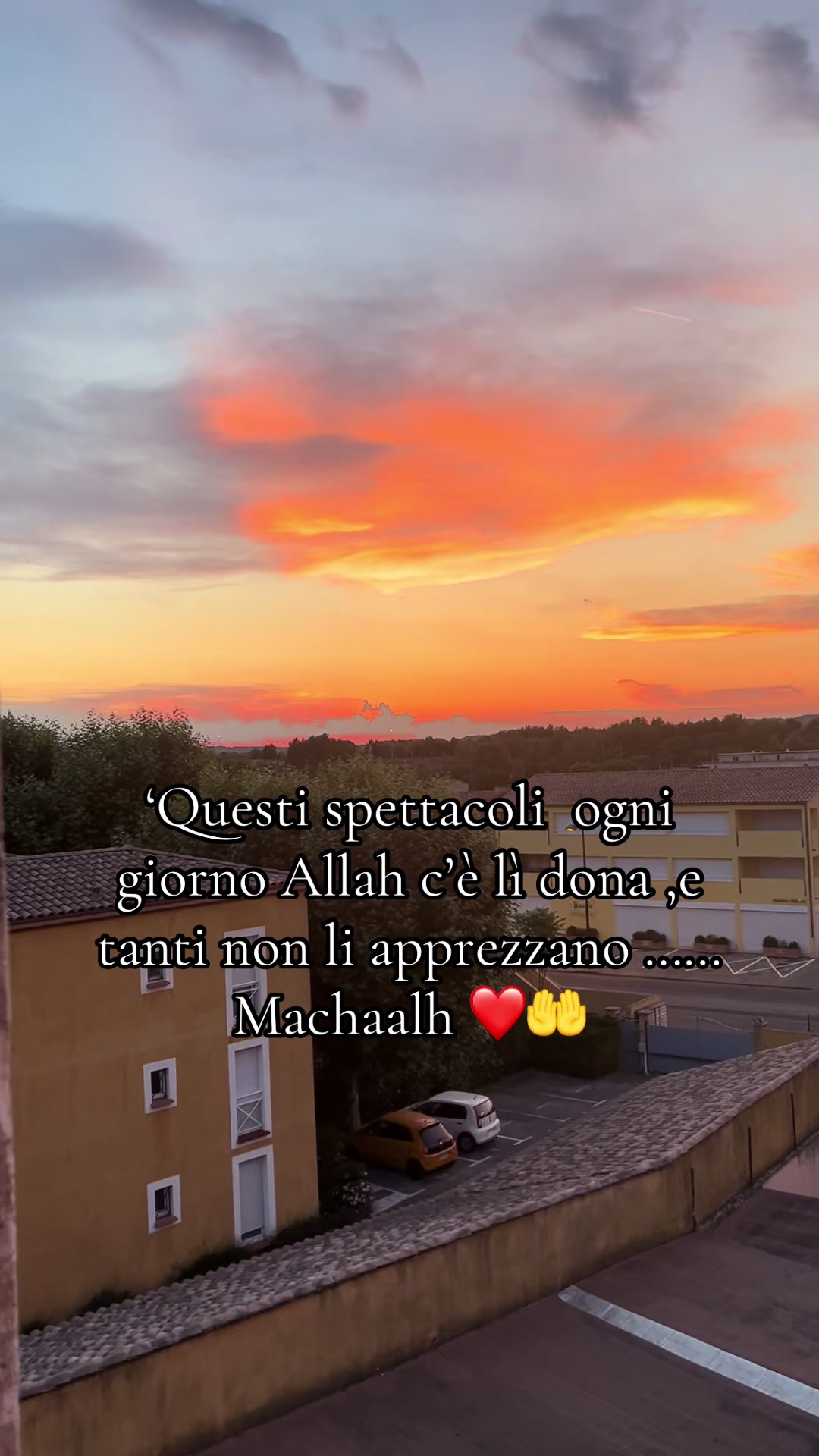 @Eli Hajar ❤️🇪🇭🇹🇳🇲🇦🇮🇹❤️